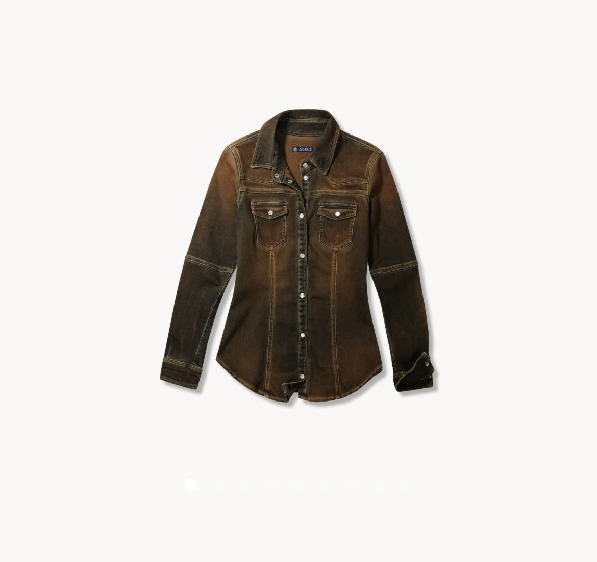Denim Western Shirt